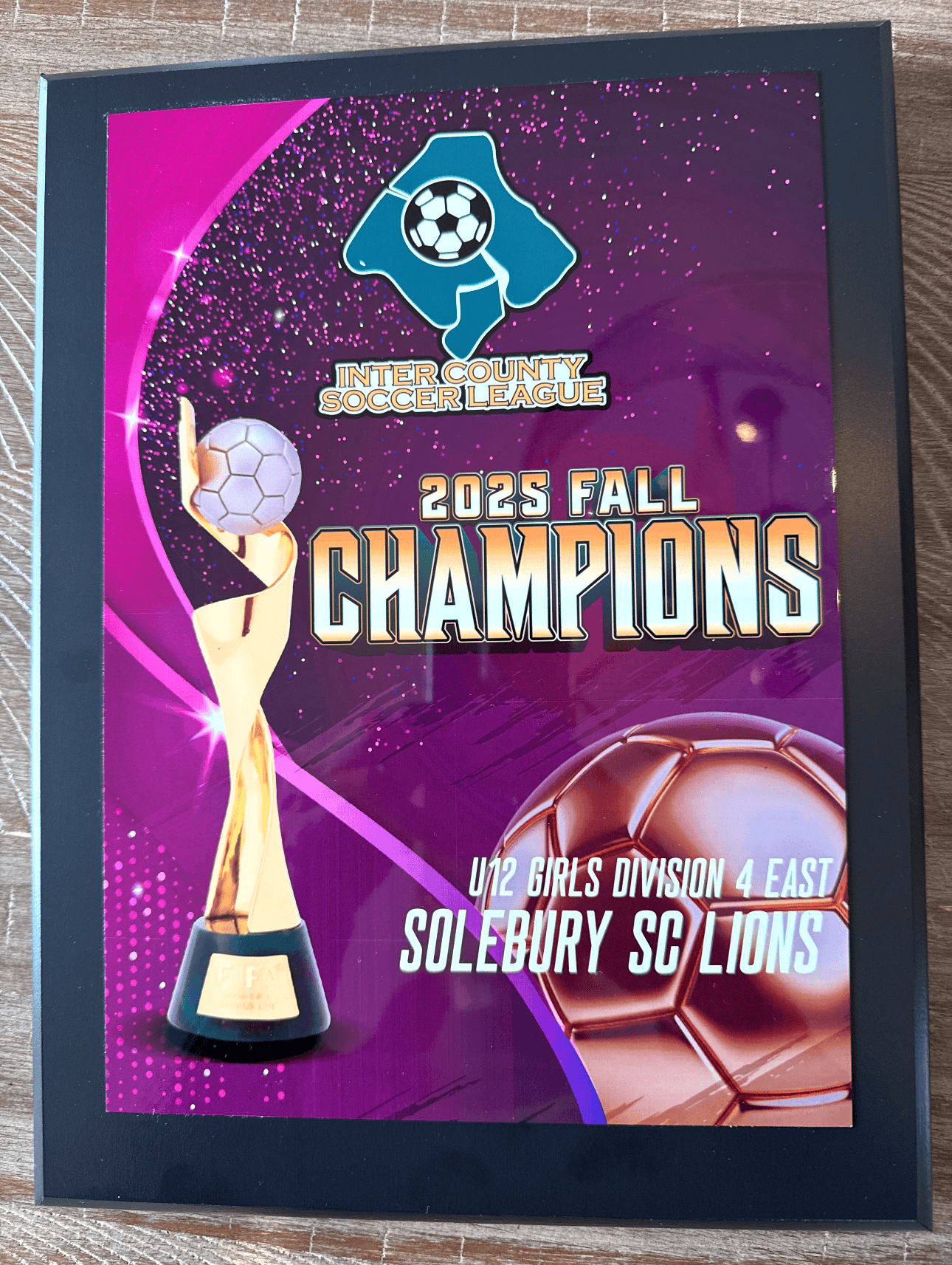 2014/2015 Girls - Lions team gallery photo